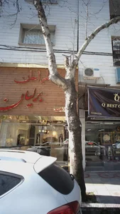 گروه طراحان و کابینت برلیان 2