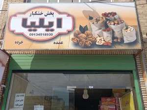 پخش خشکبار ایلیا
