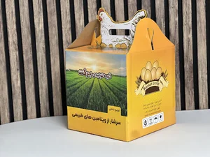 کارتن سازی فیدار پک