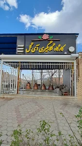 گلابگیری سنتی آی گل