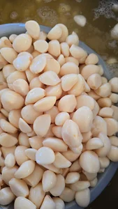 سیرمرواریدتابش ثوم مملح
