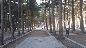 پارک جنگلی محلات