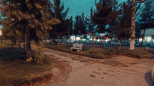 بوستان طاووس