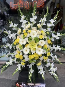 گلفروشی گلبرگ چالوس 5