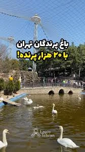 پارک