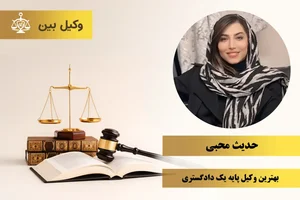 وکیل امیرعلی شیرآقائی