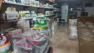 خدمات کشاورزی مزرعه طلایی