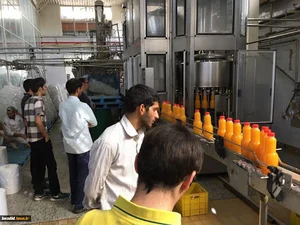 لبنيات مى ماس