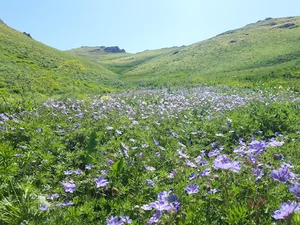 روستای تبریز خاتون
