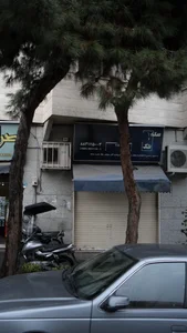 سکه تک 2