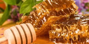 فروشگاه اینترنتی عسل بازار