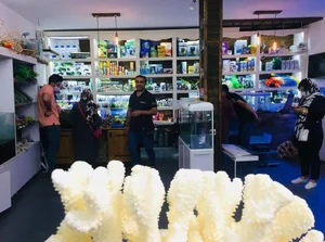 آکواریوم مرجان دریایی 3