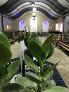 سفره خانه باران