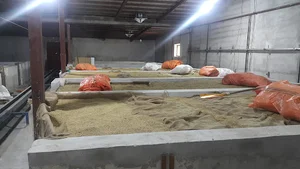 کارخانه برنجکوبی صفرندائی