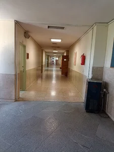 Department of Materials Science & Engineering