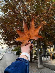 مرکز مشاوره شیما حافظ