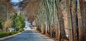 Baghestan District