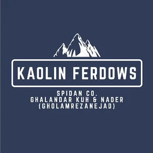 Spidan company