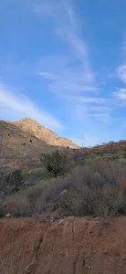 Estahban