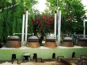 کارگاه گلاب گیری محمد رییسی