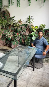 شرکت طبیعت مدرن
