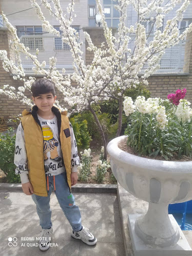 امیر خیز