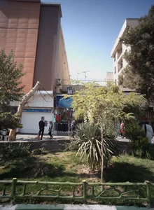 کفش سنتر 2