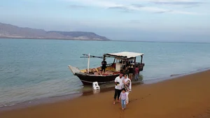 بوستان جنگلی حرا (مانگرو)