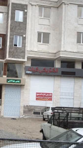 الکتریکی کیان 2