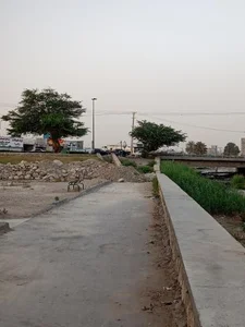 بوستان 5