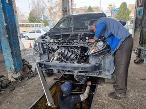 مجتمع مکانیکی جهش