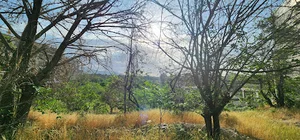 بوستان اسلام آباد