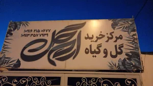 گل و گیاه ارم گل