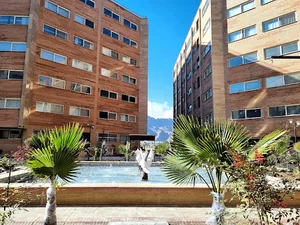 مجتمع دریای نور