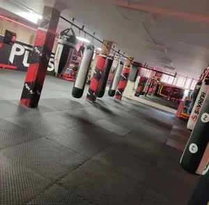 آموزش مبارزات MMA