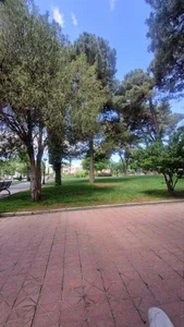 پارک مشاهیر 5