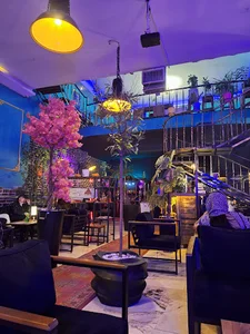 sina cafe