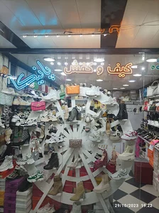 کیف و کفش پانیکا