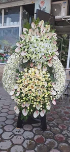 گل کلاسیک