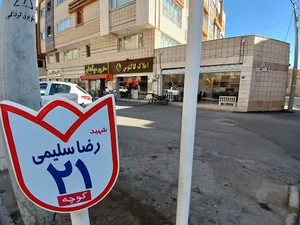 املاک کاکتوس شعبه شهبازی