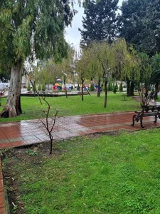 پارک فرهنگ شهر 3