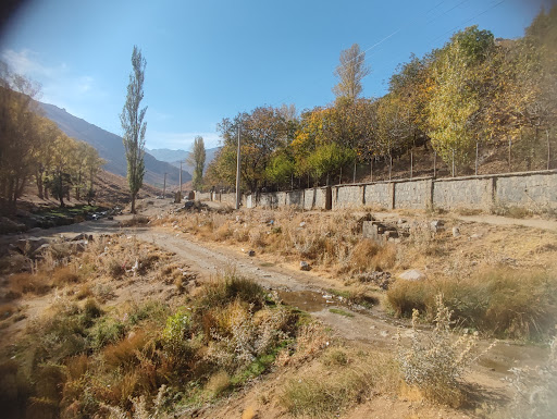 کوچه باغ ژاله