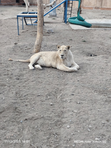 باغ وحش گوهر پارک