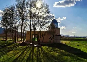 آرایشی بهداشتی باران