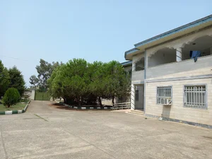 شبکه دامپزشکی بندر انزلی