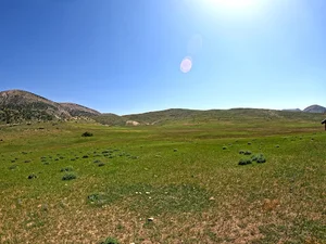 دشت ترکه میدان