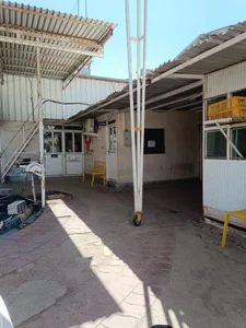 شرکت قارچ مه چین 3