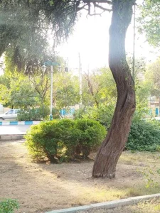 بوستان افشاری 5