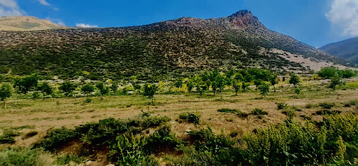 چشمه استیل