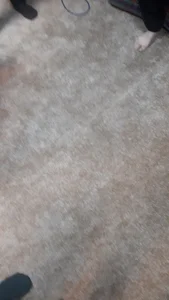 بستنی یکتا